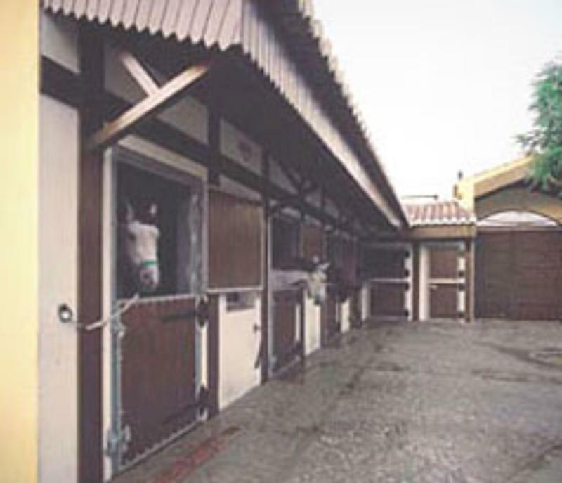 Hotel Cortijo Landete (Adults Only) アルミージャ エクステリア 写真